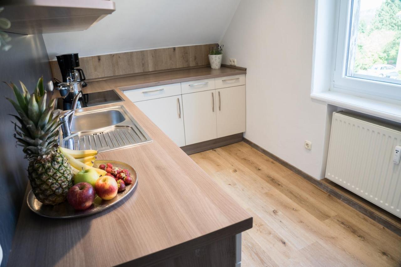Appartamento Urlaubsfreude Biedermann Haus Gluecksstein - Mondstein Bad Schandau Esterno foto